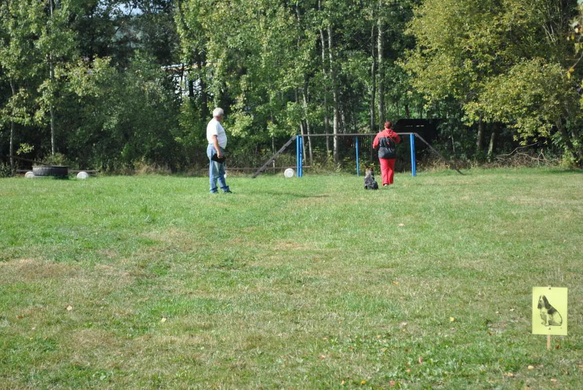 _DSC0070
