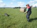 SAM_0753
