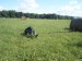 SAM_0757