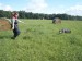 SAM_0759