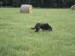 SAM_0782