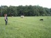 SAM_0783