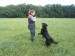 SAM_0792